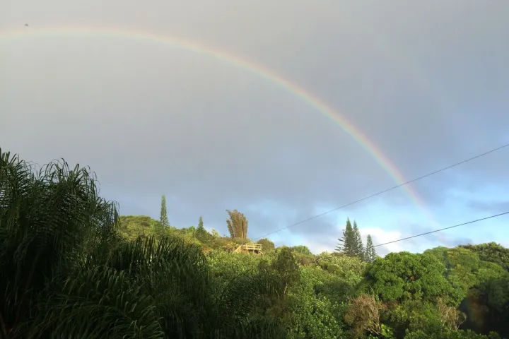 Rainbow over a maui zipline course