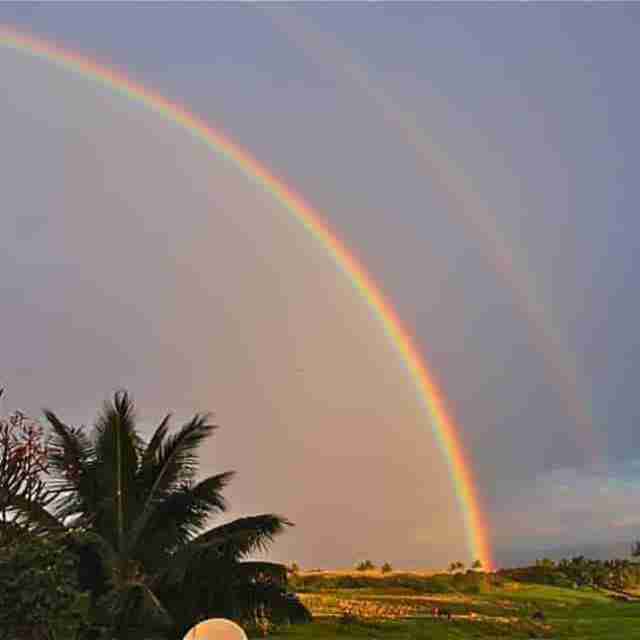Maui rainbow