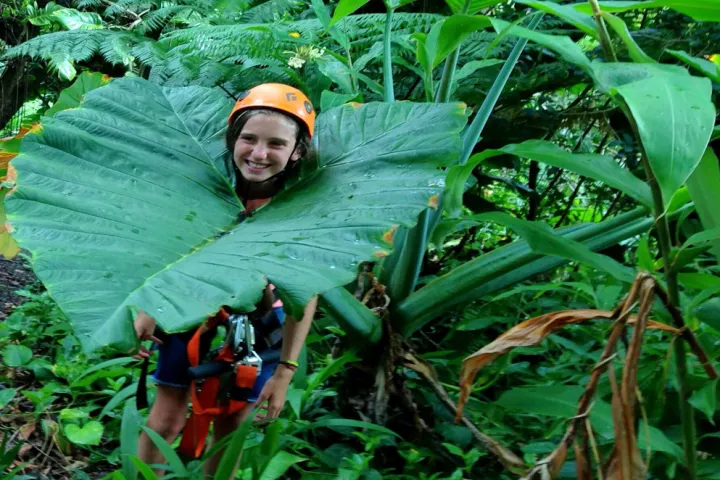 Flowers and foliage on Maui