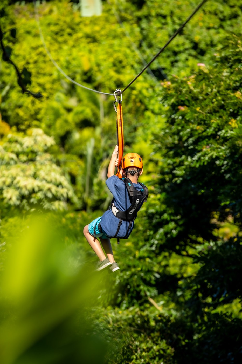Jungle Zipline Maui-HI - Tourist Attraction in Haiku