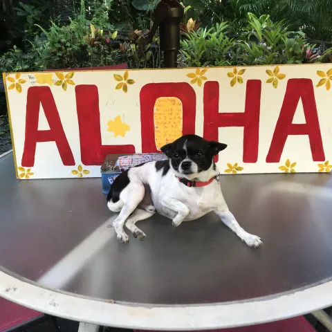 a black sign with white text