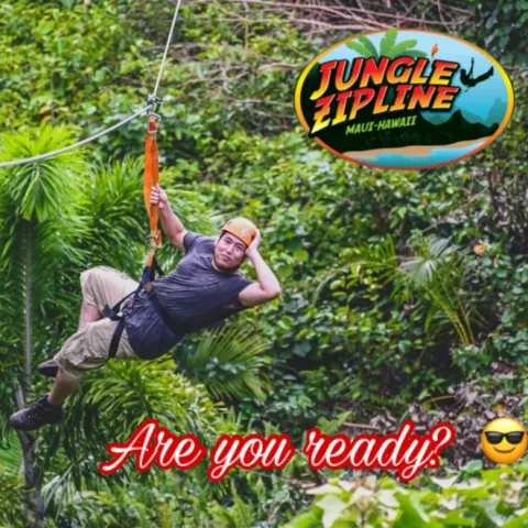 a person holding a bird