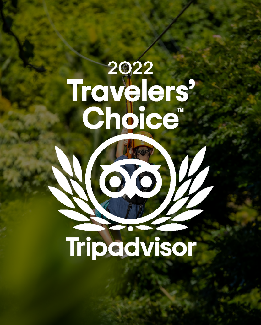 2022 Traveler’s Choice 2022 Traveler's Choice