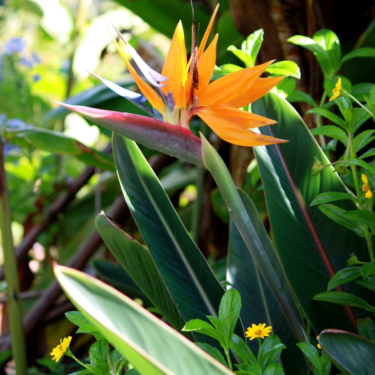 c78c4176b7008fd10851504dc4228066